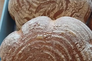 Chleby z naší pekárny 